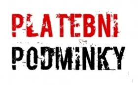 Hlavní platební podmínky v zahraničním obchodě, jednotlivé platební instrumenty a formy krátkodobého financování Hlavní platební podmínky v zahraničním obchodě, jednotlivé platební instrumenty a formy krátkodobého financování