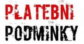 Hlavní platební podmínky v zahraničním obchodě, jednotlivé platební instrumenty a formy krátkodobého financování Hlavní platební podmínky v zahraničním obchodě, jednotlivé platební instrumenty a formy krátkodobého financování